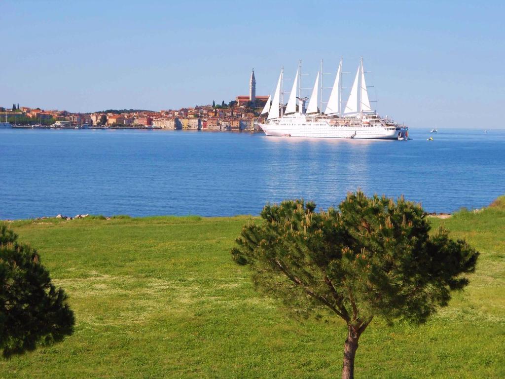 Stella Mare Apartments Rovinj Zewnętrze zdjęcie